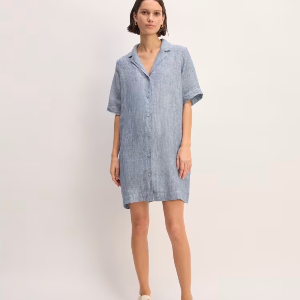 Everlane shirt dress